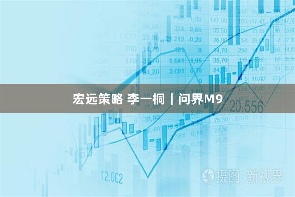 宏远策略 李一桐｜问界M9