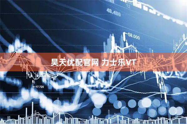 昊天优配官网 力士乐VT